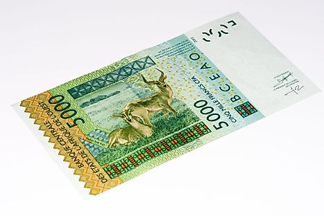Central African CFA 5000 Franc Banknote