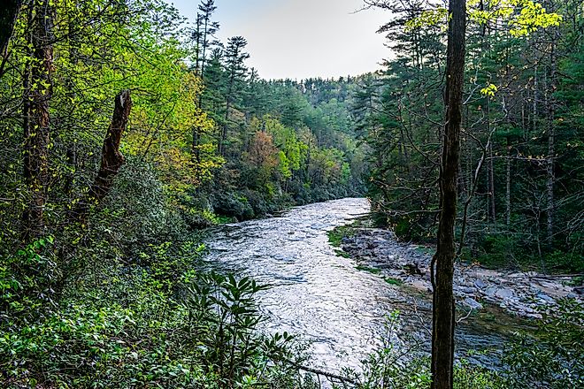 Chattooga River