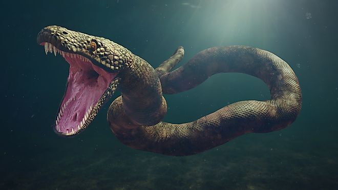 A Titanoboa model illustration.