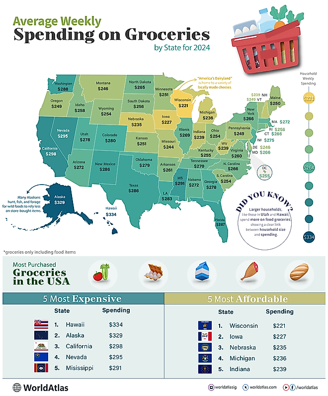 infographic showing spending on food groceries in the US