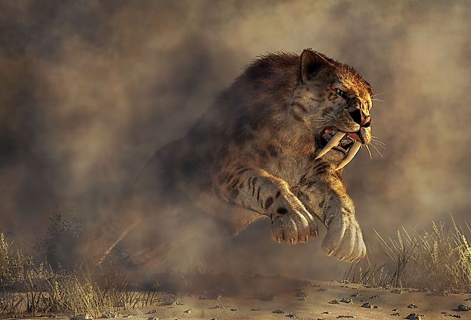 Saber-Tooth Cat. Image credit: Daniel Eskridge via Shutterstock