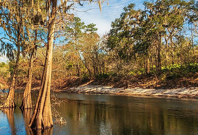 Alapaha River.