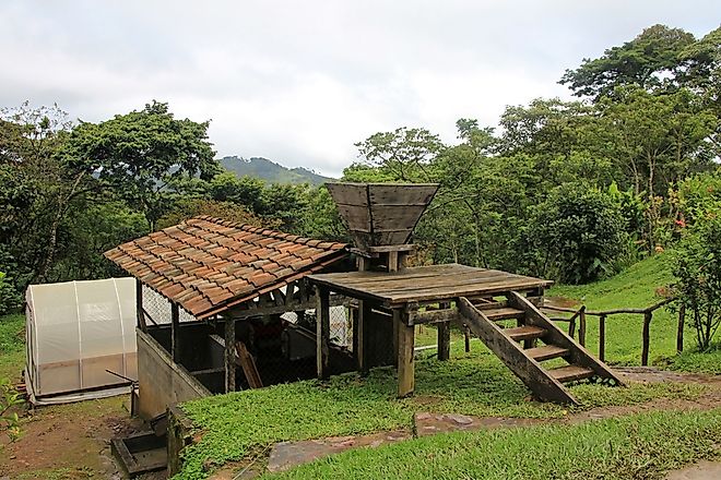 Coffee exports were historically a significant contributor to Nicaragua's GDP.