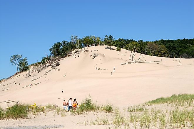 Ambitious groups of summer visitors tackle one of the big shoreline sand dunes at Warren Dunes State Park. Wild grasses line the bottom while trees span the top.