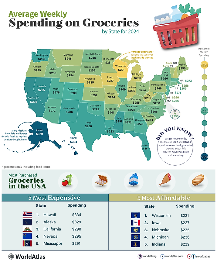 infographic showing spending on food groceries in the US