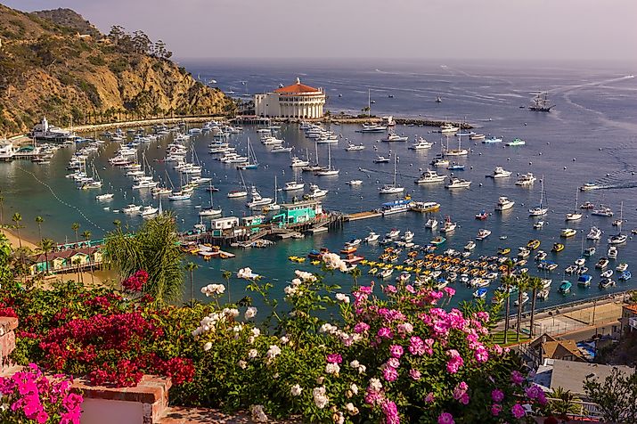 Aerial view of Avalon, Santa Catalina Island, California. Editorial credit: Rob Crandall / Shutterstock.com.