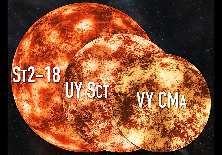 Size comparison of evolved red supergiant star Stephenson 2-18, the luminous red supergiant star UY Scuti and the extreme red hypergiant star VY Canis Majoris. Image Credit Faren29 via Wikimedia.