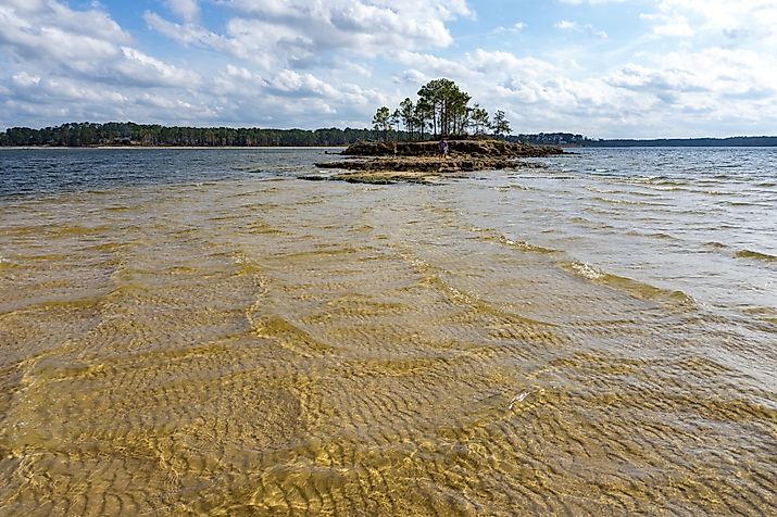 Beautiful islands in Sam Rayburn reservoir in Texas. 