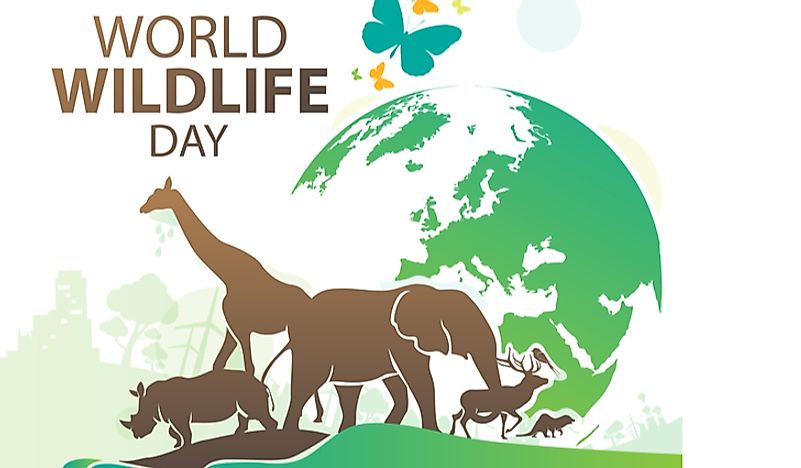 What And When Is World  Wildlife Day  WorldAtlas com
