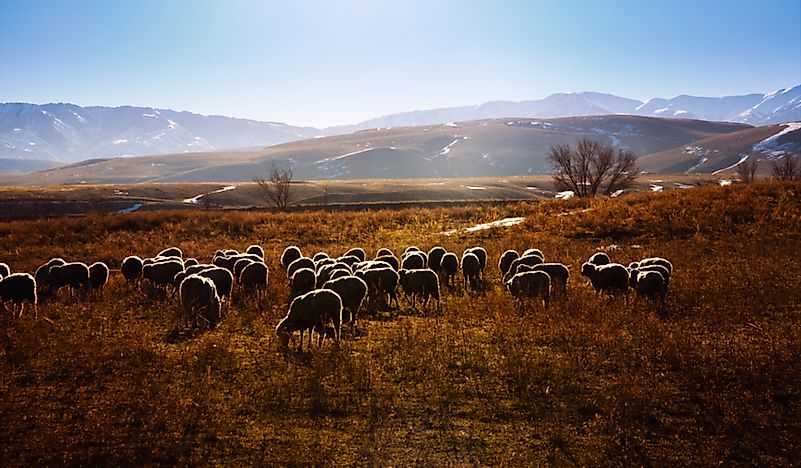 what-are-the-major-natural-resources-of-kazakhstan-worldatlas