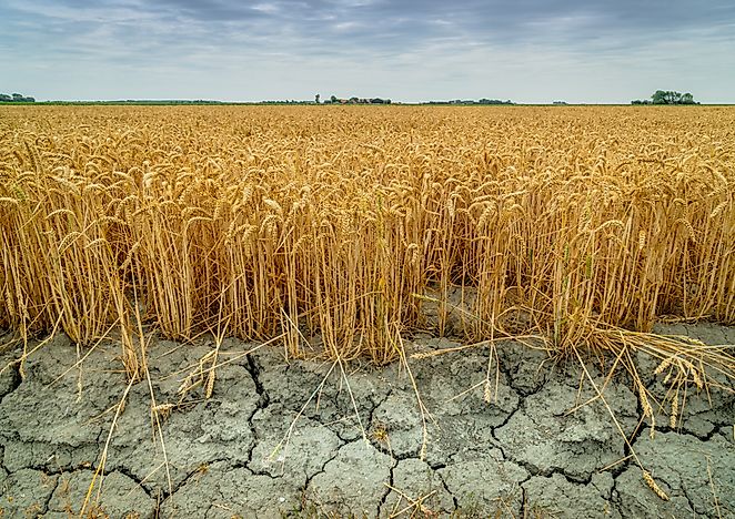 What Are The Different Types Of Drought? - WorldAtlas.com