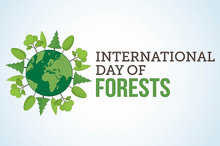 When and Why is International Day of Forests Celebrated? - WorldAtlas.com