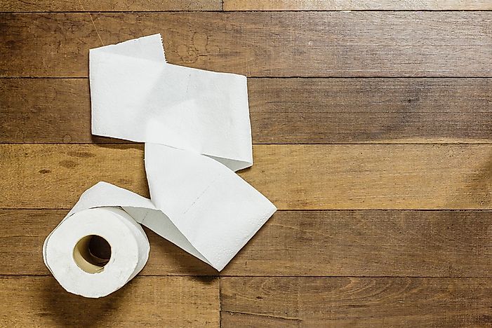 what-is-toilet-paper-made-of-primary-hidden-ingredients