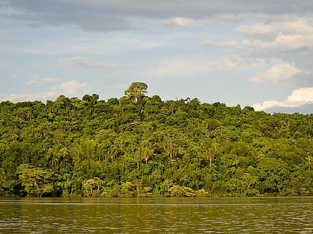 The Parana River - WorldAtlas.com