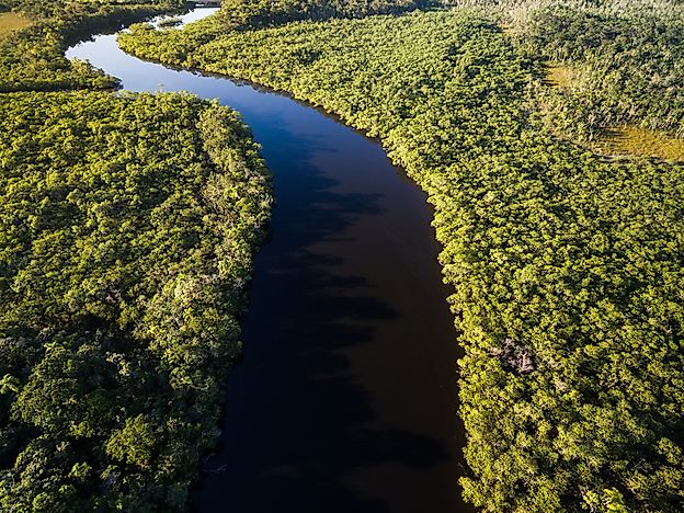 5 Countries With the Largest Rainforest Coverage - WorldAtlas.com