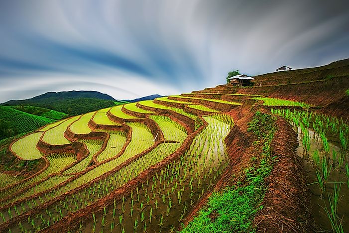 The Awe-Inspiring Beauty of Rice Terraces - WorldAtlas.com