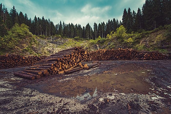 Effects of deforestation in vietnam