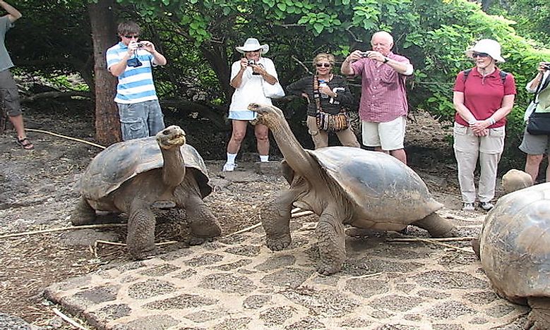 What Animals Live On The Galapagos Islands? - WorldAtlas.com