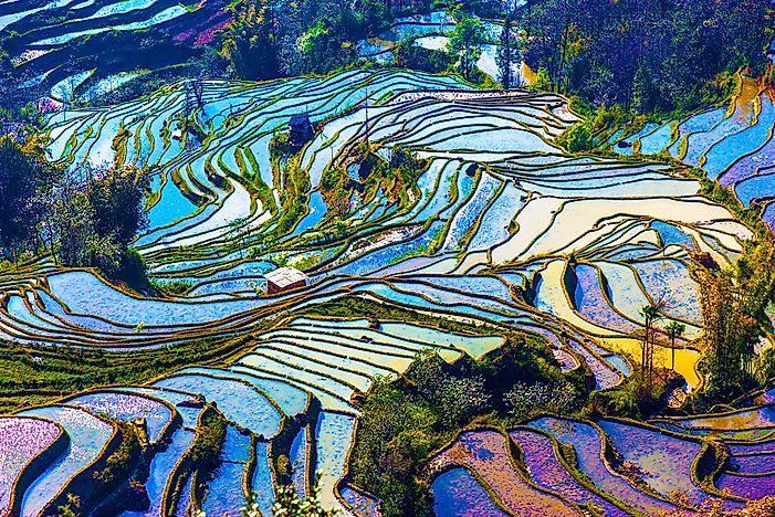 The Awe-Inspiring Beauty of Rice Terraces - WorldAtlas.com