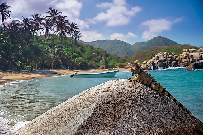 #2 Tayrona National Natural Park  