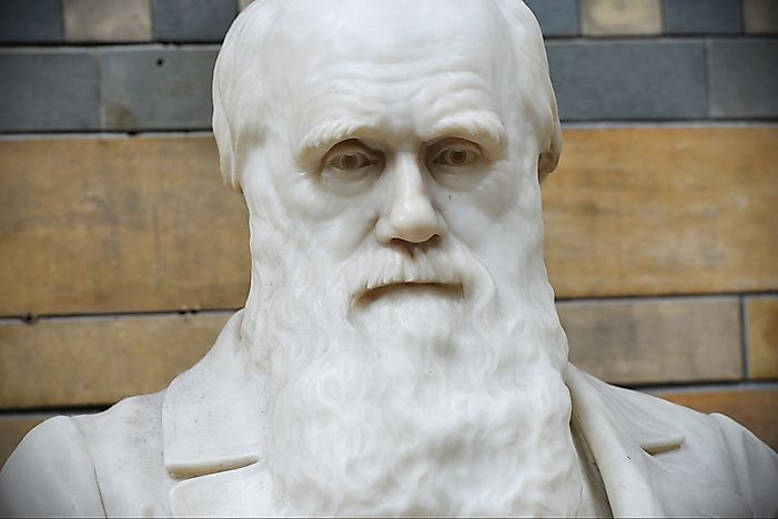 Charles Darwin - Important Figures in History - WorldAtlas.com