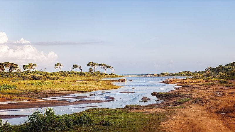 Yala National Park, Sri Lanka - WorldAtlas.com