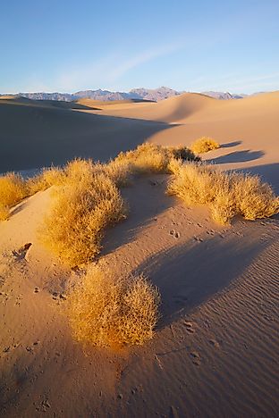 Where Does The Great Basin Desert Lie? - WorldAtlas.com