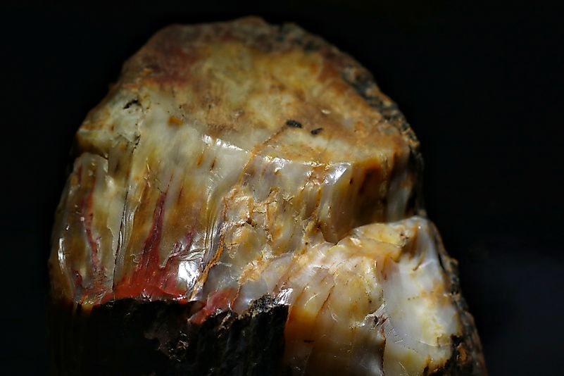 Opal from petrified wood.