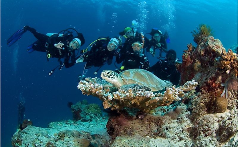 Barracuda point, Sipadan island, Malaysia. Editorial credit: MaeManee / Shutterstock.com S M L  Size Guide