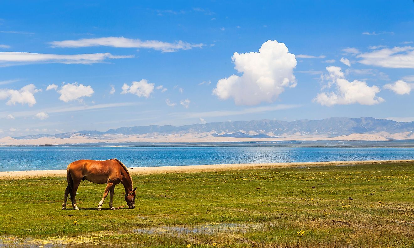 Qinghai Lake, China