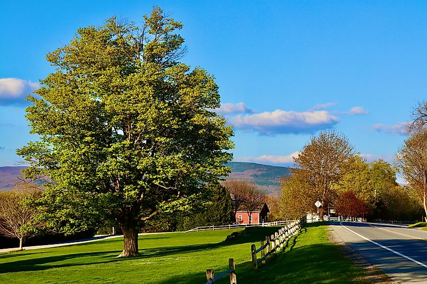 Springtime Scene in Bennington Vermont