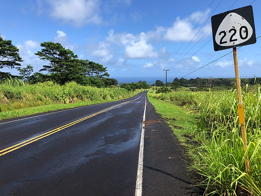 Akaka Falls Road, between ʻAkaka Falls State Park and Honomu in the South Hilo district of Hawaii County, Hawaii