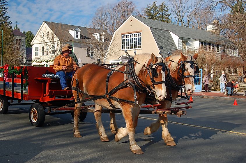 A horse-drawn cart in Stockbridge, Massachusetts.