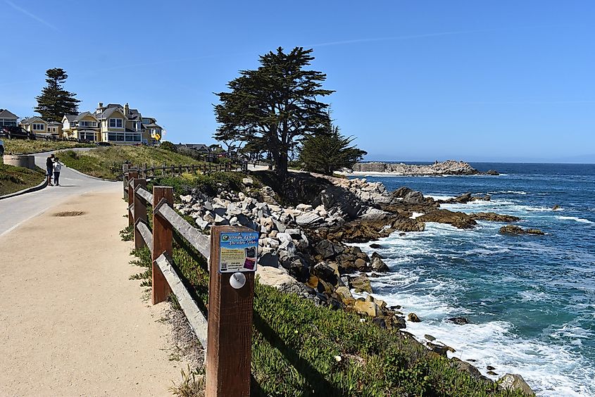 Pacific Grove Coastline in Monterey County, next to Monterey.