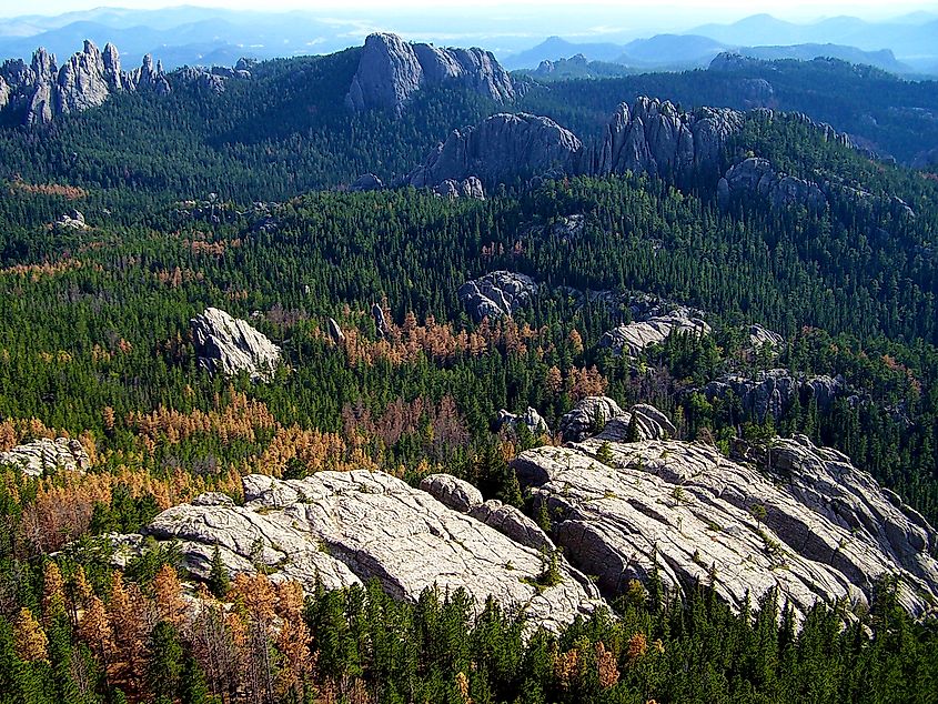 Black Hills National Forest. In Wikipedia. https://de.wikipedia.org/wiki/Black_Hills_National_Forest Von blucolt - https://www.flickr.com/photos/coltharp/2142983876/, CC BY-SA 2.0, https://commons.wikimedia.org/w/index.php?curid=15183972