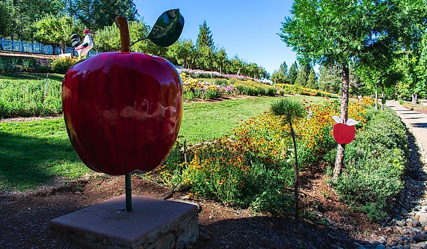 Apple Hill, Placerville California.