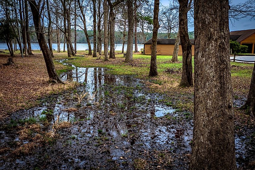 Cheraw State Park in South Carolina, United States, featuring waterlogged landscapes.