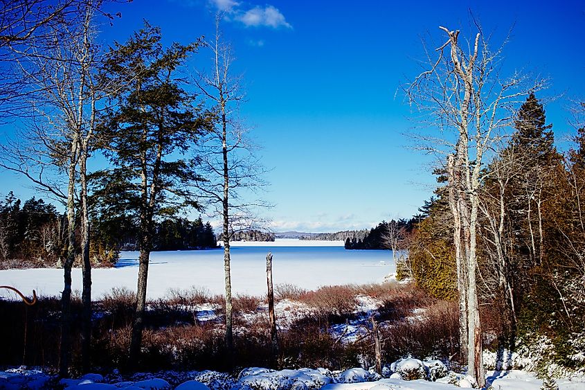 A scenic view of the forest and the frozen lake in Meddybemps, Maine during winter.