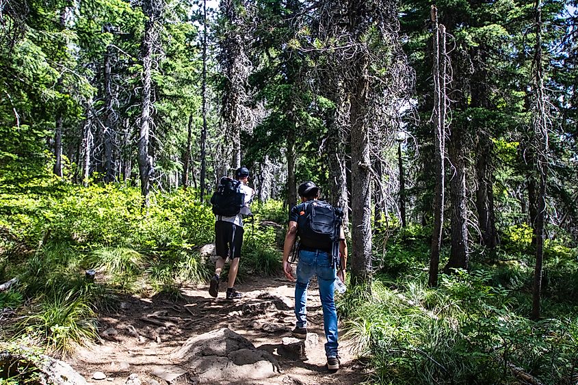 Hiking the Tom, Dick, and Harry Trail with some pals.