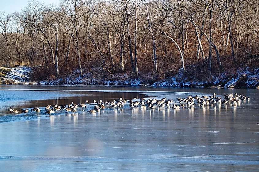 A wintry Lake Lenexa.