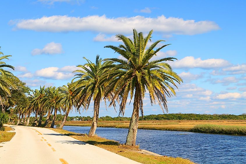 The Loop Drive in Ormond Beach, Florida.