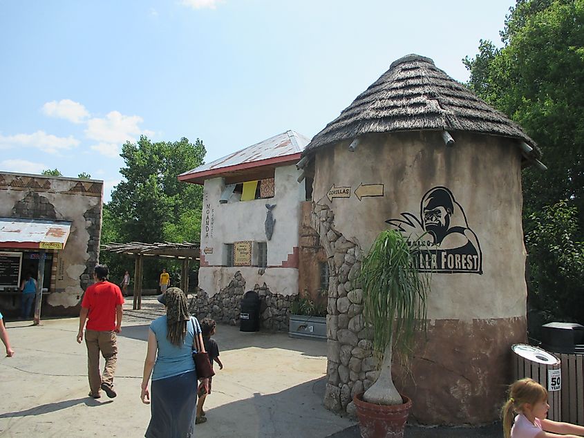 Gorilla Village in Sedgwick County Zoo, Kansas.