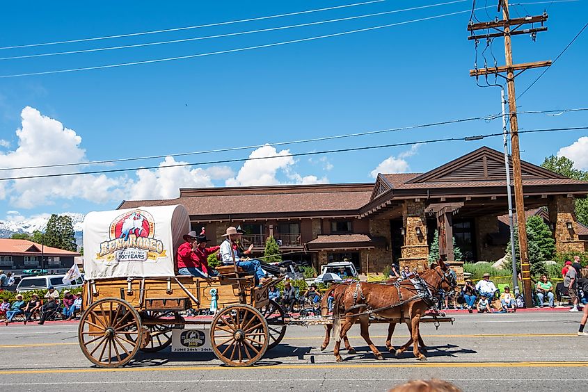 Mule Days Parade in Bishop, California, featuring participants and decorated mules parading down the street, with spectators lining the sidewalks to celebrate the town's annual event.