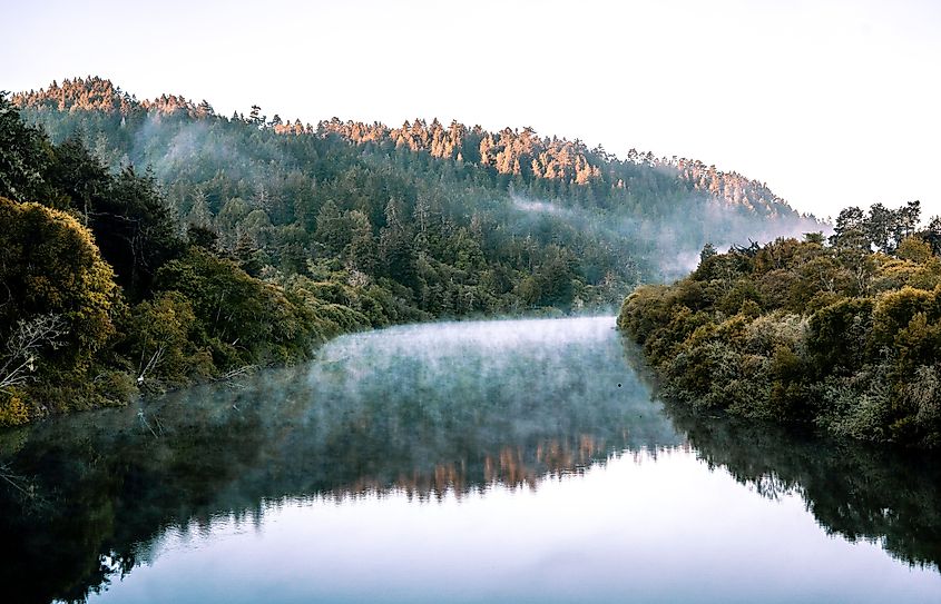 A foggy morning on the Russian River in California.