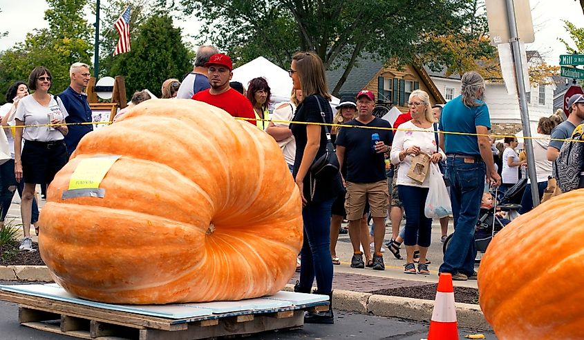 The annual Giant Pumpkin Weigh-Off weighing in at 1,800 pounds highlighted Harvest Fest in Cedarburg, Wisconsin.