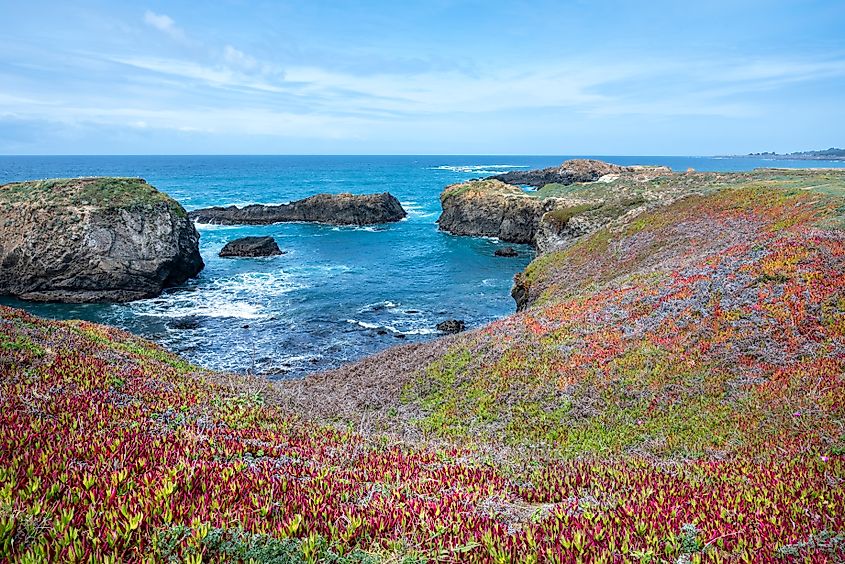 Mendocino Headlands State Park in Mendocino, California, on a bright, blue, sunny day.