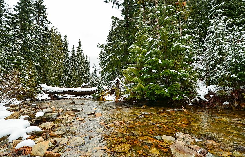 Libby Creek in Winter, Northwest Montana.