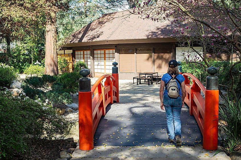 Descanso Gardens in California, via Kit Leong / Shutterstock.com