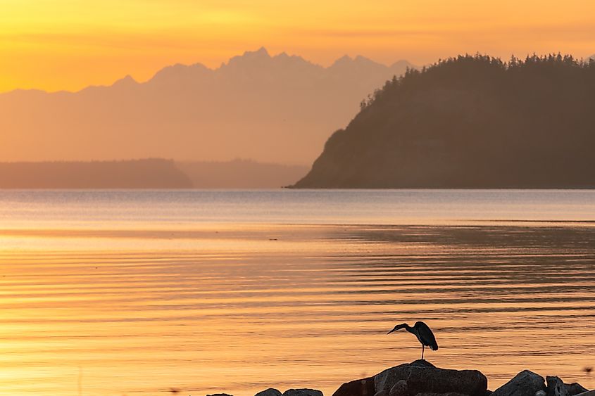 Hazy Layers of the Olympic Mountains and Double Bluff on Whidbey Island.