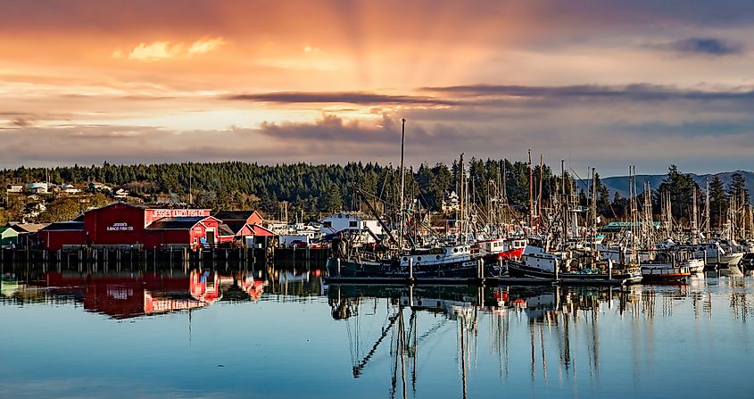 Commercial fishing boats docked at Ilwaco Boat Basin in Ilwaco, Washington